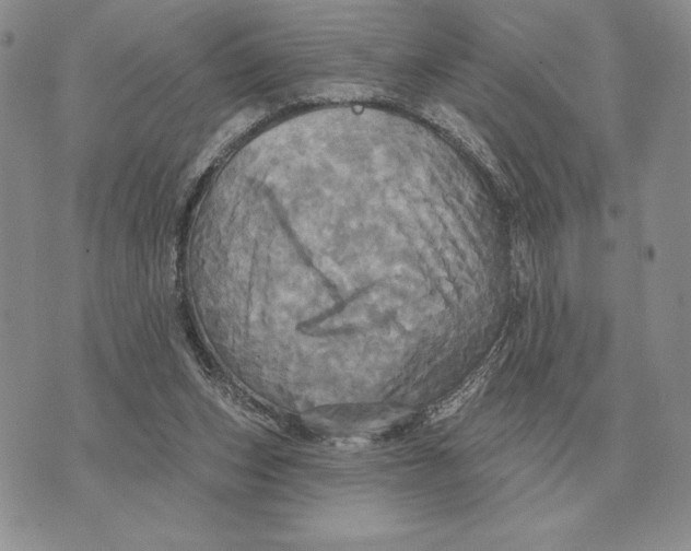 X0000070360159200606301839