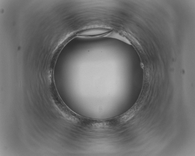 X0000070360160200606301839