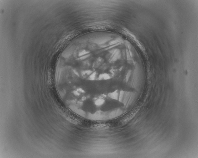 X0000070360161200606301839