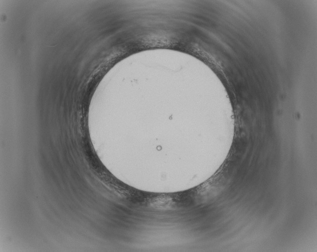 X0000070360162200606301839