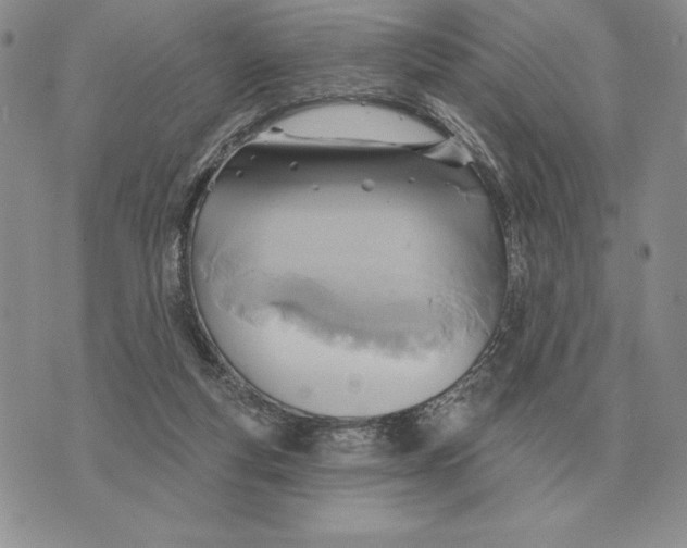 X0000070360163200606301839