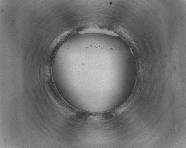 X0000070360164200606301839