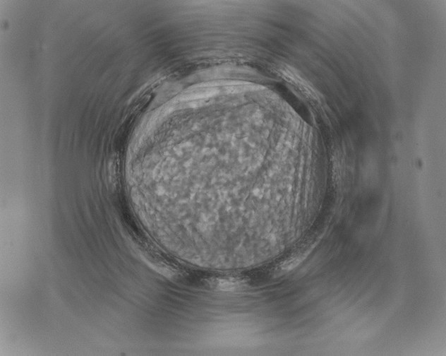 X0000070360165200606301840