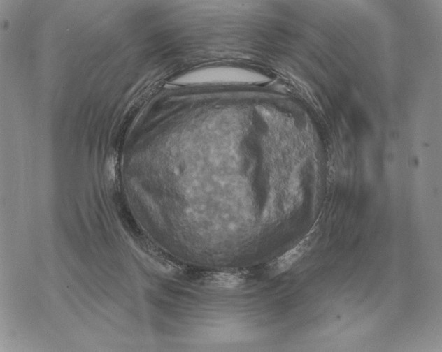 X0000070360166200606301840