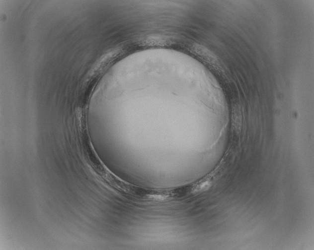 X0000070360167200606301840