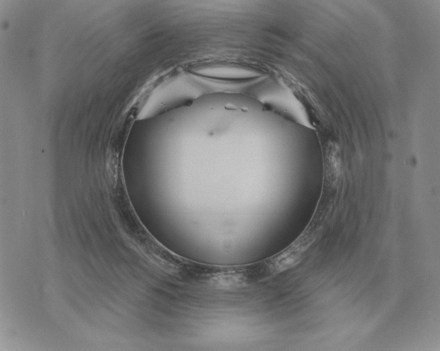 X0000070360168200606301840