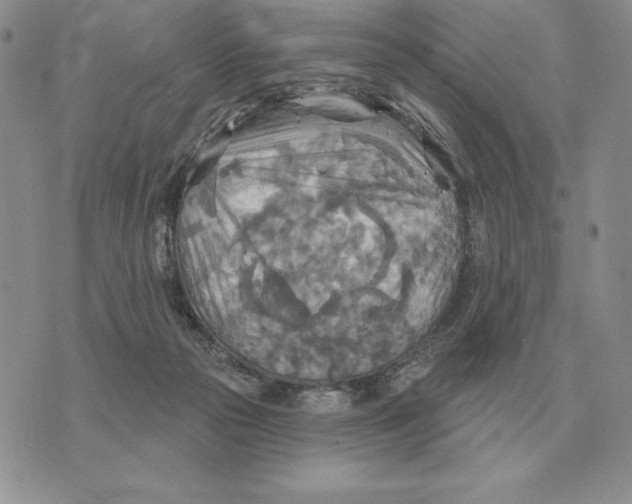 X0000070360169200606301840