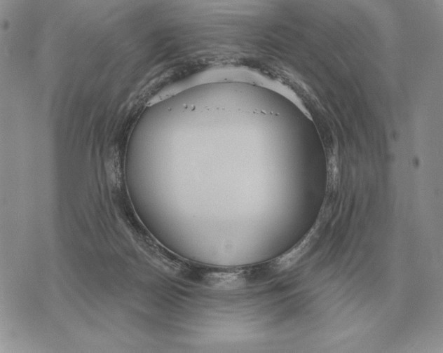 X0000070360170200606301840