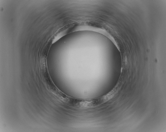 X0000070360172200606301840