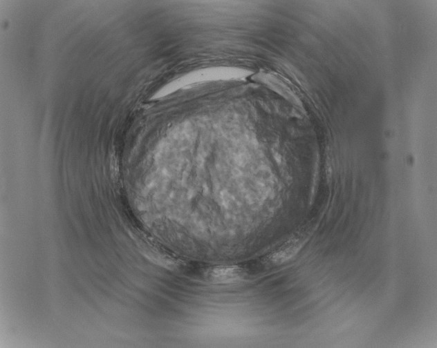 X0000070360173200606301840