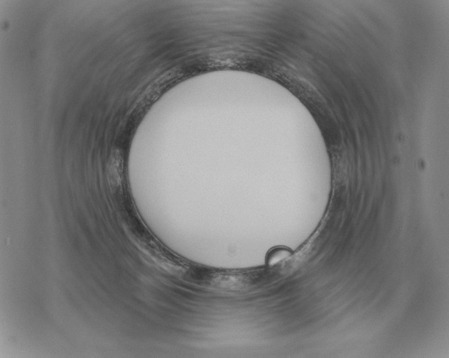 X0000070360174200606301840