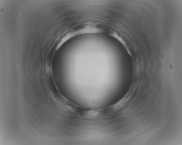 X0000070360176200606301840