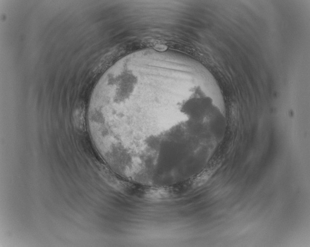 X0000070360177200606301840