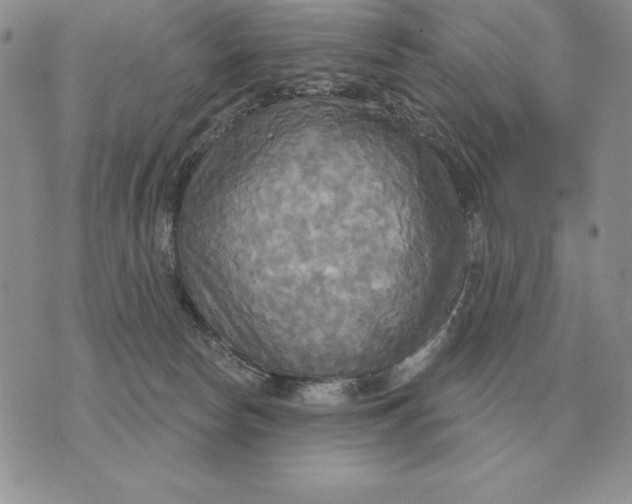 X0000070360178200606301840