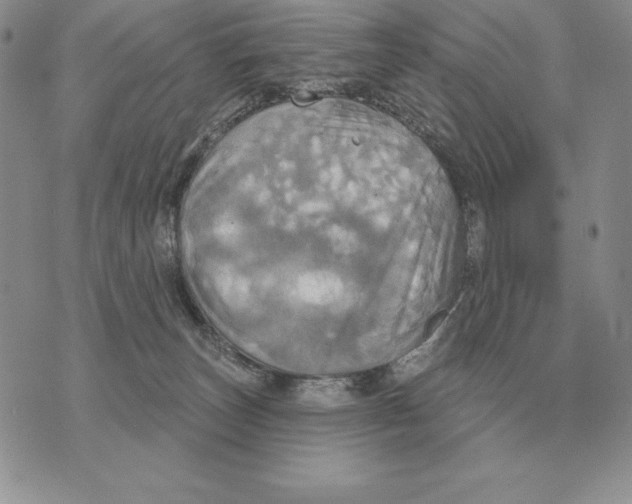 X0000070360179200606301840