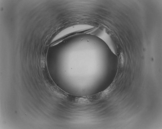 X0000070360180200606301840