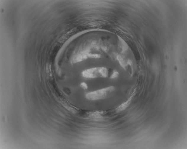 X0000070360182200606301840