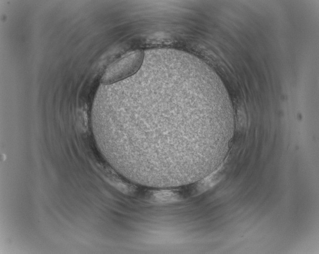 X0000070360183200606301840