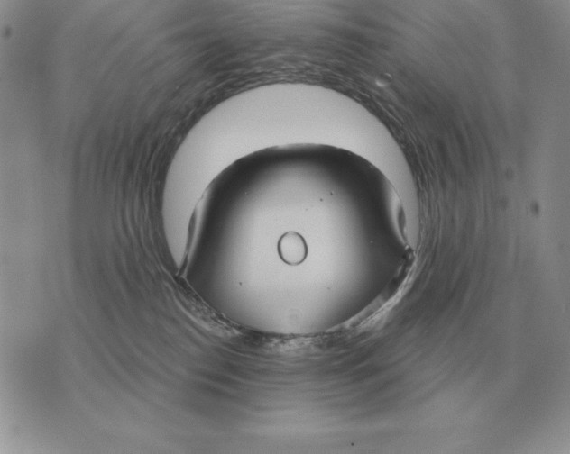 X0000070360186200606301840