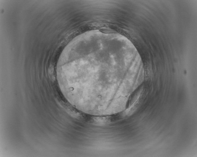 X0000070360187200606301840