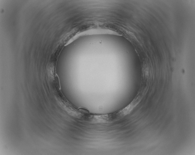 X0000070360188200606301840