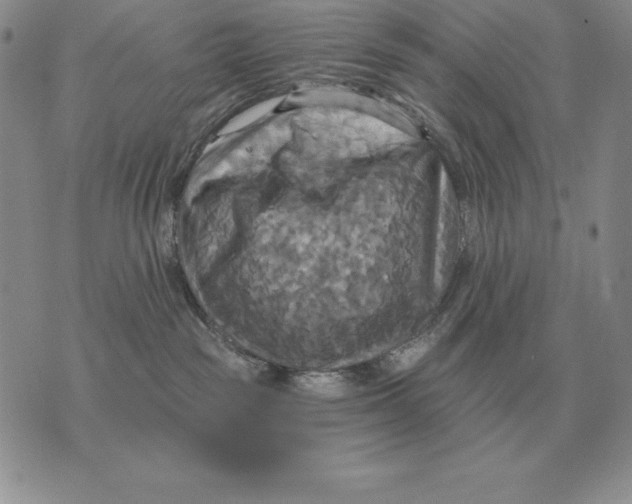 X0000070360189200606301840