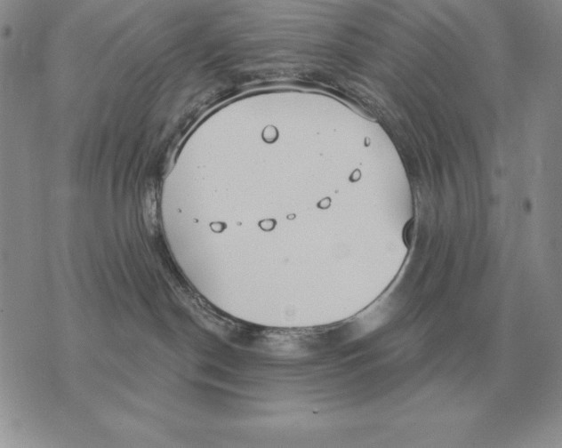 X0000070360190200606301840