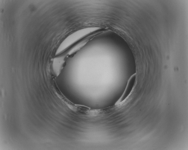 X0000070360192200606301840