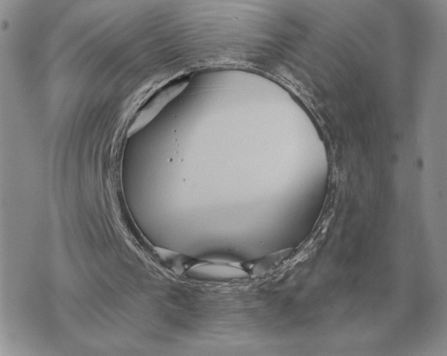 X0000070360193200606301839