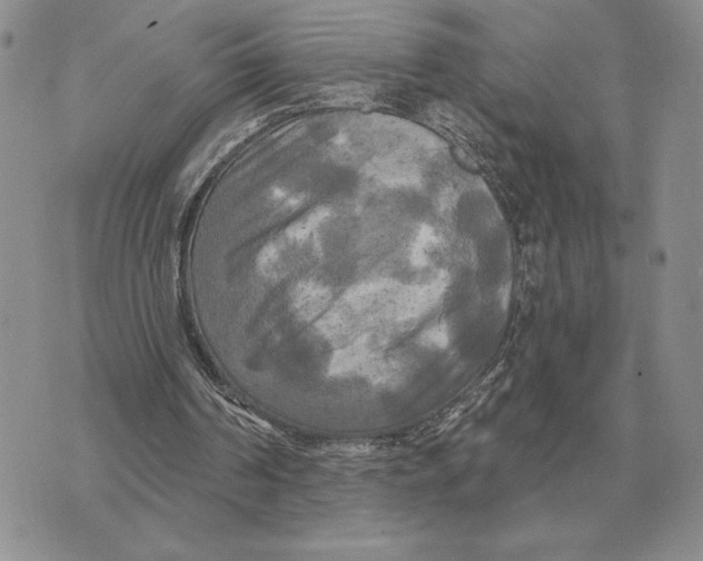 X0000070360194200606301839