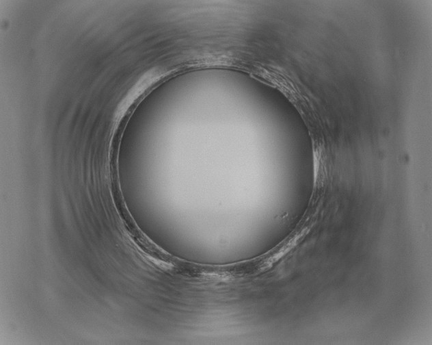 X0000070360195200606301839