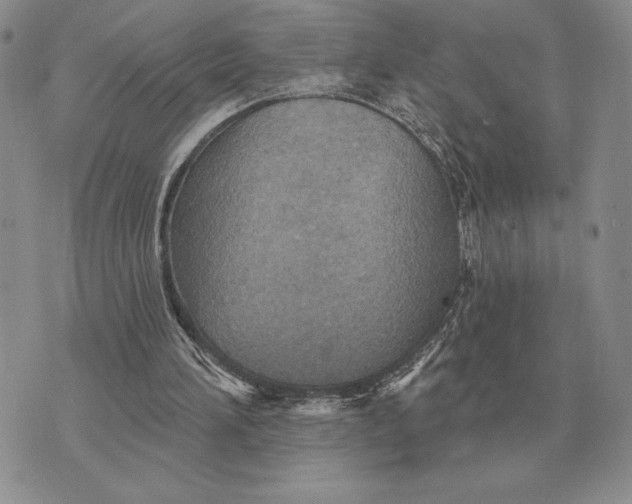 X0000070360196200606301839