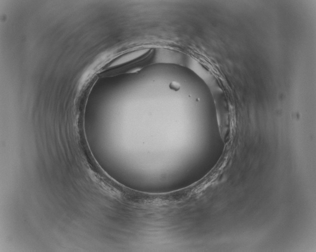 X0000070360197200606301839