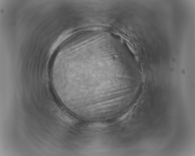 X0000070360198200606301839