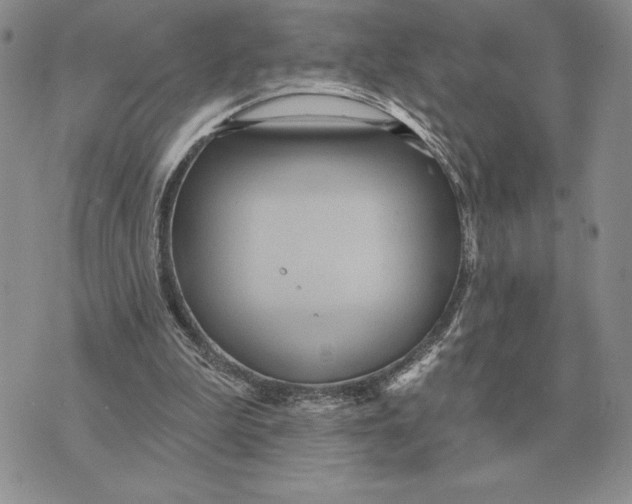 X0000070360199200606301839