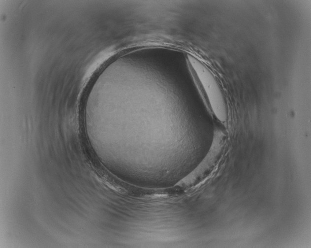 X0000070360200200606301839