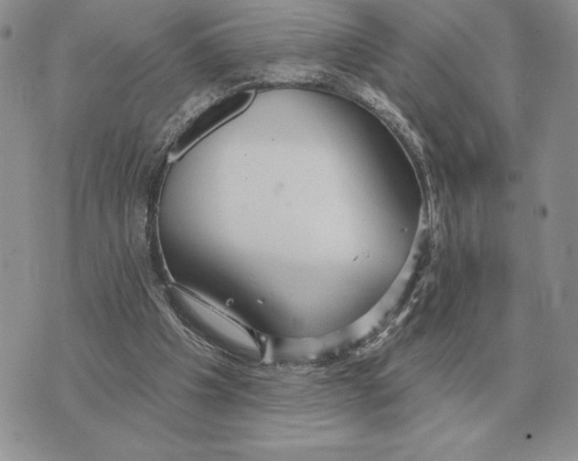 X0000070360201200606301839