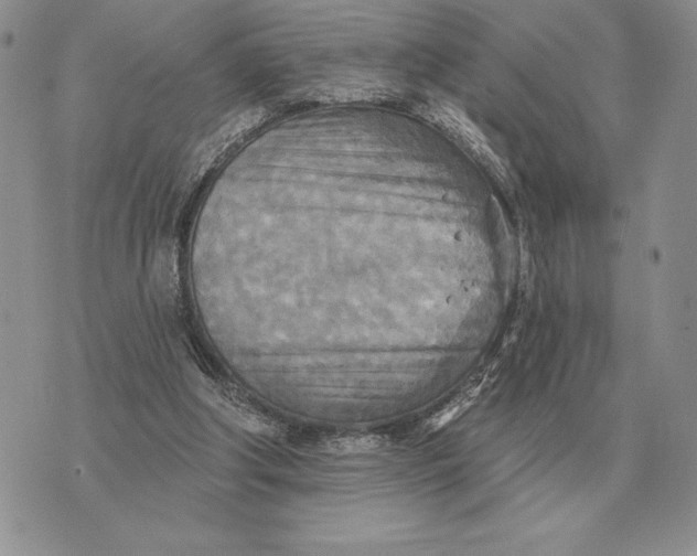 X0000070360202200606301839