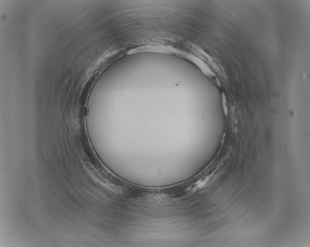 X0000070360203200606301839