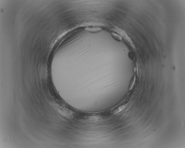 X0000070360204200606301839