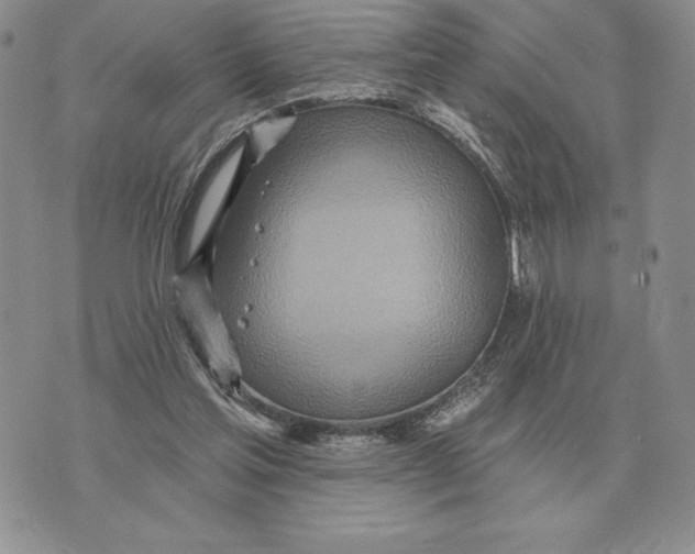 X0000070360205200606301839