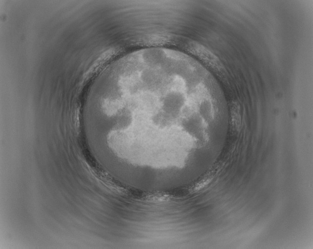 X0000070360206200606301839