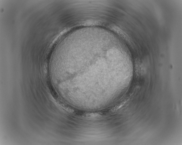 X0000070360208200606301839