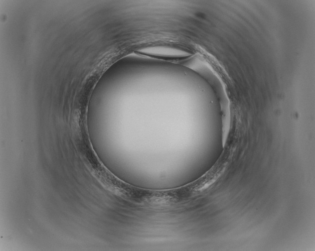 X0000070360209200606301839