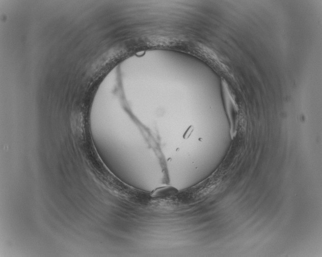 X0000070360211200606301839