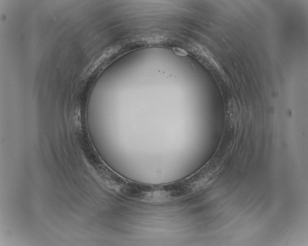 X0000070360212200606301839