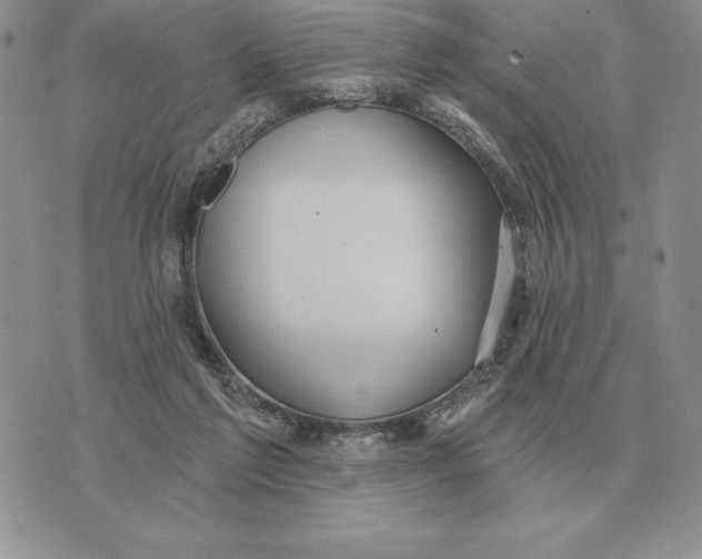 X0000070360213200606301839