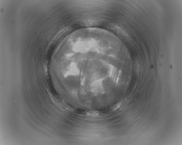 X0000070360214200606301839