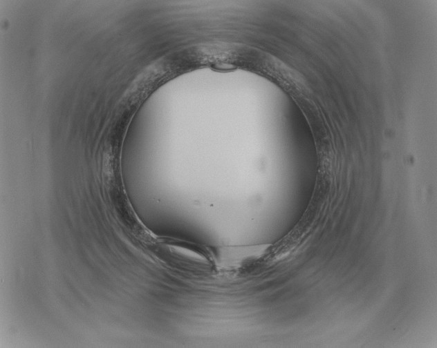 X0000070360215200606301839