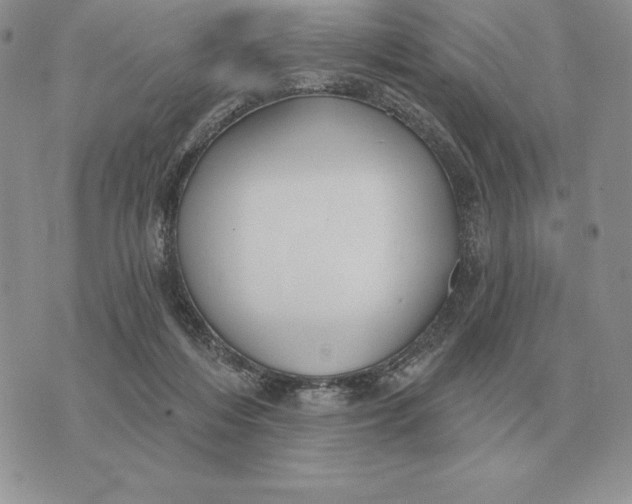 X0000070360216200606301839